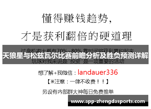 天狼星与松兹瓦尔比赛前瞻分析及胜负预测详解
